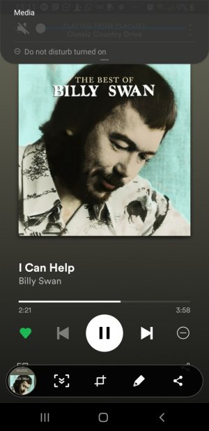 Screenshot_20200510-131118_Spotify[1].jpg