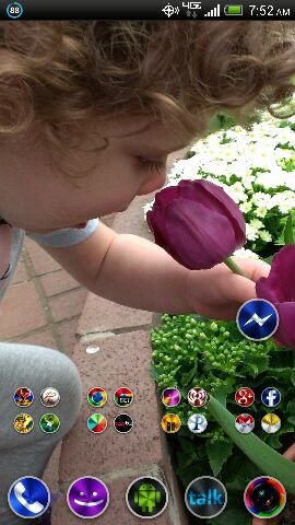 uploadfromtaptalk1366977165602.jpg