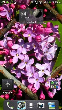 uploadfromtaptalk1367125056146.jpg