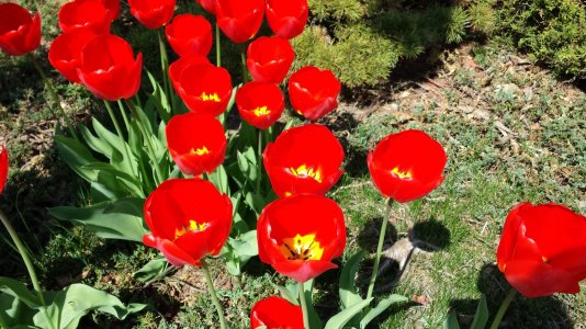 2013-04-28 10.49.27.jpg