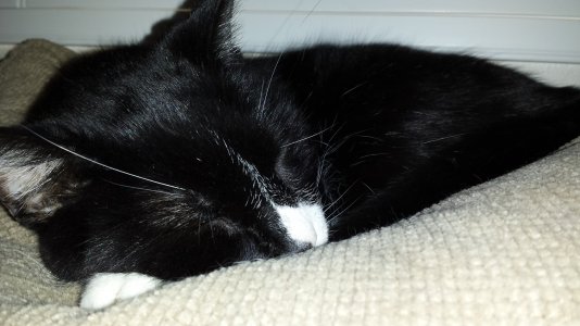 2013-04-29 14.22.44.jpg
