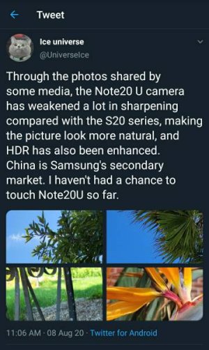 104290.jpg