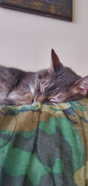 20200322_104000.jpeg