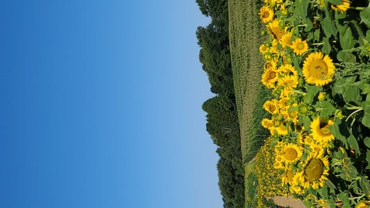 20200807_092608.jpg