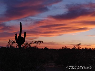 20200514_192748_HDR.jpg