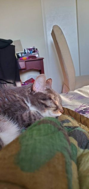 20200325_173011.jpeg