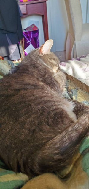 20200325_171947.jpeg