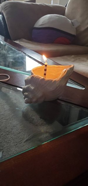 20200328_153814.jpeg
