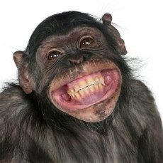 grin.jpg