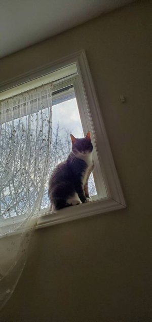 20200329_183328.jpeg