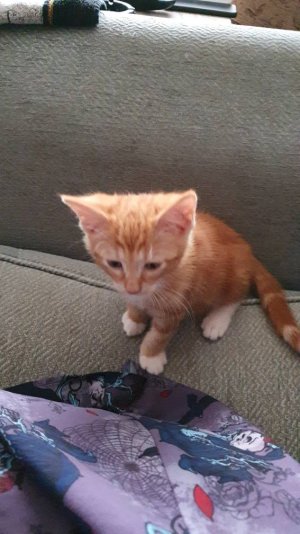20200815_121433.jpeg
