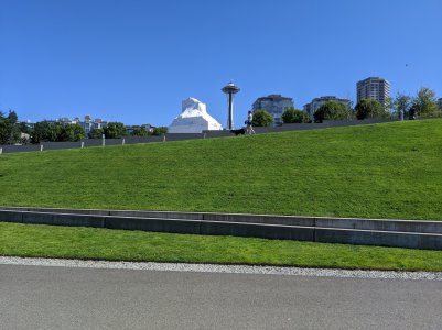 IMG_20200815_112433.jpg