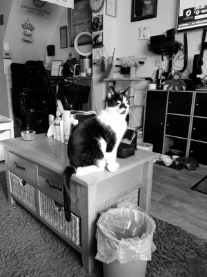 20200522_154411_03.jpeg