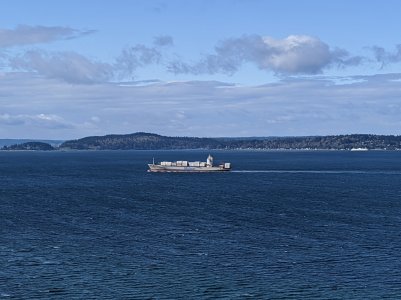 IMG_20200403_100115.jpg