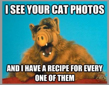 alf.JPG