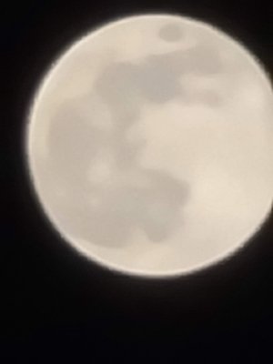 20200407_230037.jpg