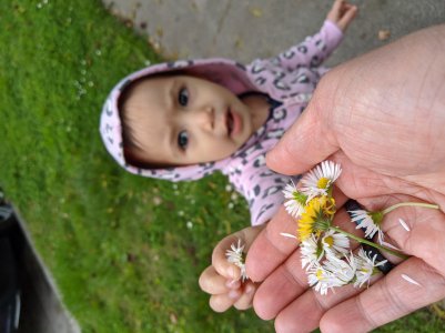 IMG_20200409_115251.jpg