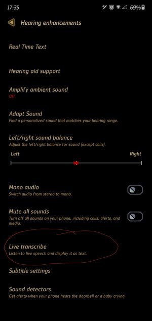 Screenshot_20200410-173544_Accessibility.jpg