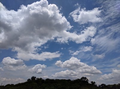 IMG_20200314_133537.jpg