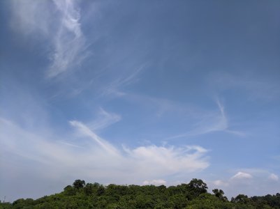 IMG_20200410_110409.jpg