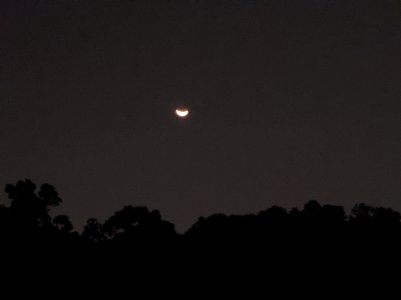 IMG_20200330_232105.jpg