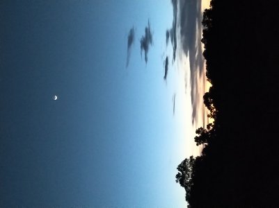 IMG_20190507_1943507.jpg