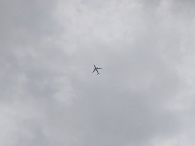 IMG_20200307_152442.jpg