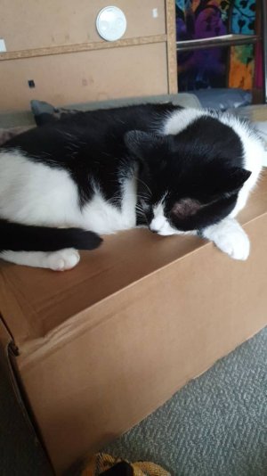 20200819_172538.jpeg
