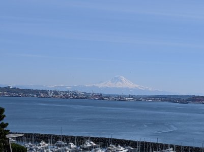 IMG_20200413_145307.jpg