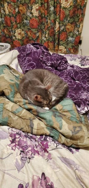 20200819_203348.jpeg