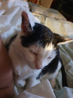 Image.jpeg