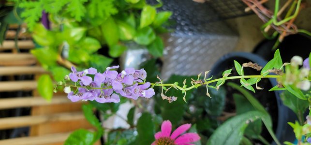 20200820_114550.jpg