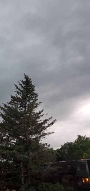 20200610_201957.jpeg