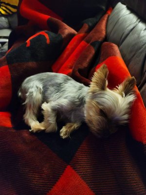 20200820_205141.jpeg