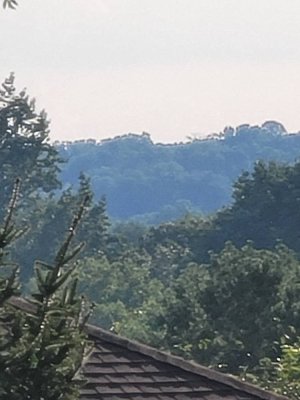20200820_174614.jpg