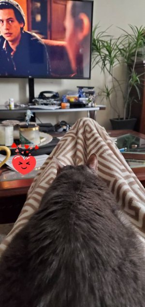 20200417_114543.jpeg