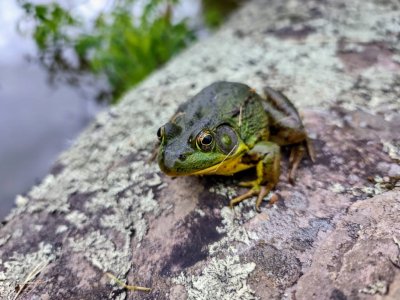 IMG_20200614_123133708_HDR.jpeg