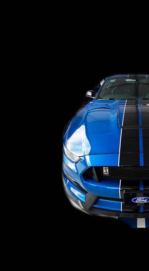 2017_Shelby.jpeg