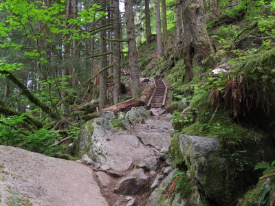 IMG_4536.jpg