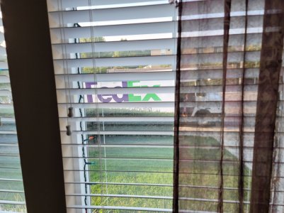 FedEx.jpg