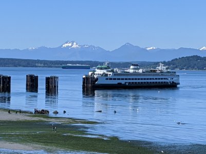 IMG_20200622_121618.jpg