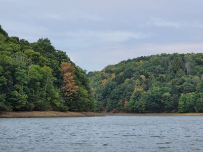 20200823_103755.jpg