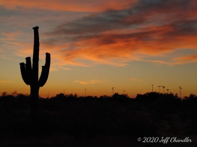 20200428_191825_HDR.jpg
