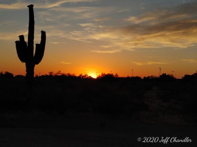 20200428_190529_HDR.jpg