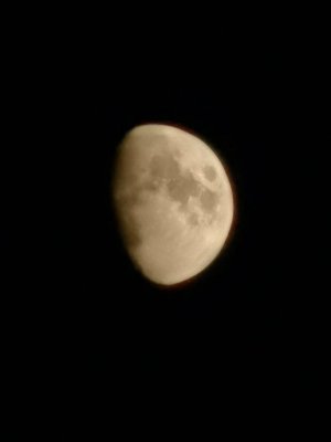 IMG_20200729_211744.jpg