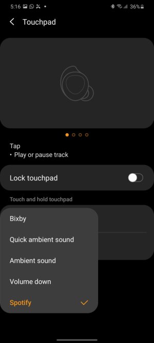 Screenshot_20200429-171642_Galaxy Buds.jpg