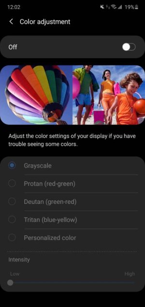 Screenshot_20200627-000256_Accessibility.jpeg