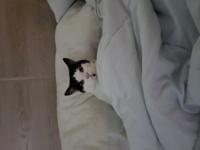 20190123_123827.jpg