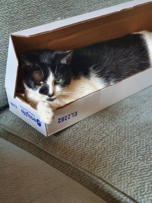20200825_141748.jpeg