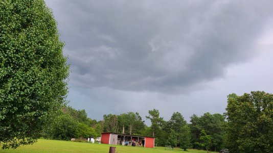 20200629_152739.jpg
